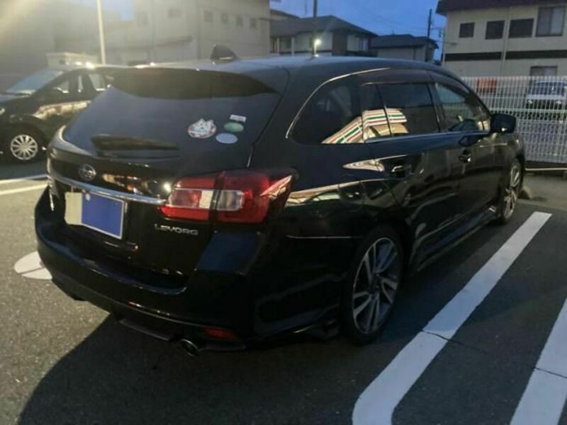 LEVORG