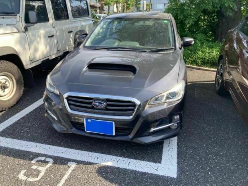 LEVORG
