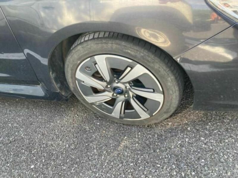 LEVORG