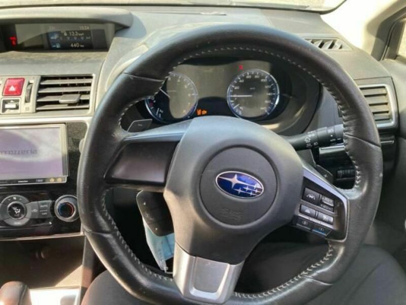 LEVORG