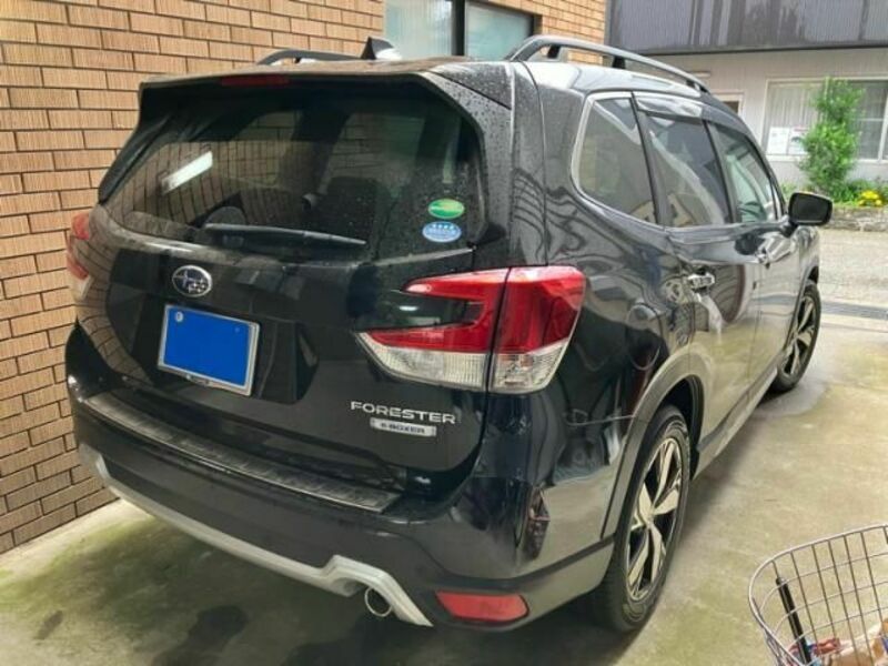 FORESTER
