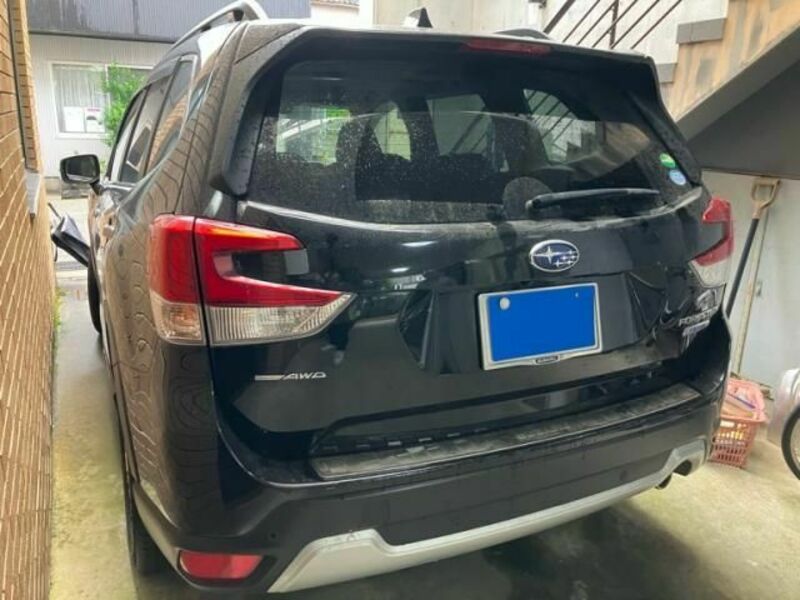 FORESTER