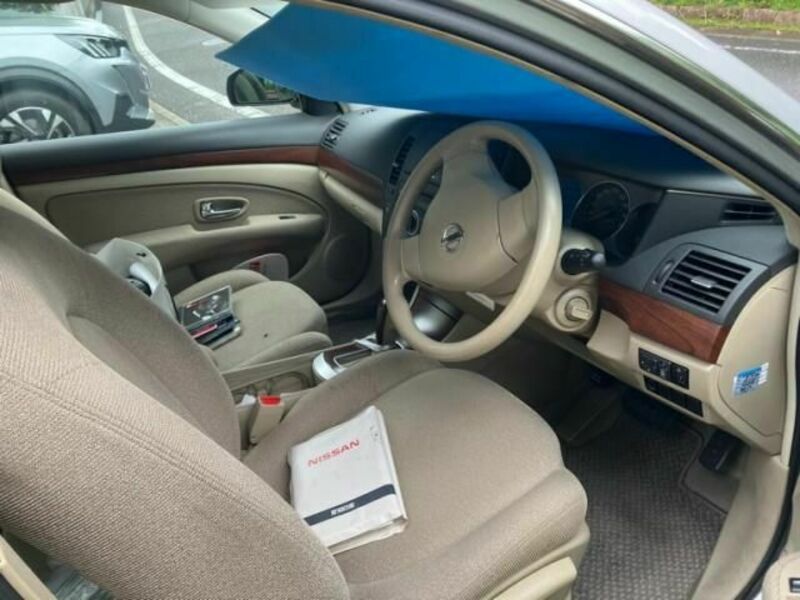 BLUEBIRD SYLPHY
