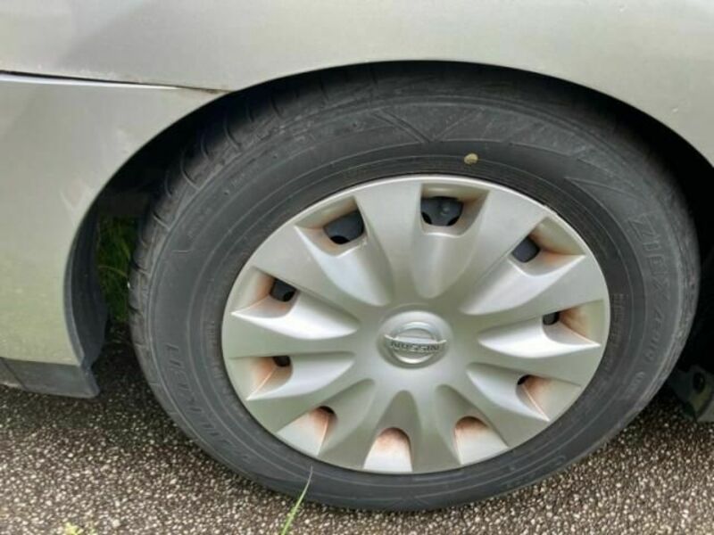 BLUEBIRD SYLPHY