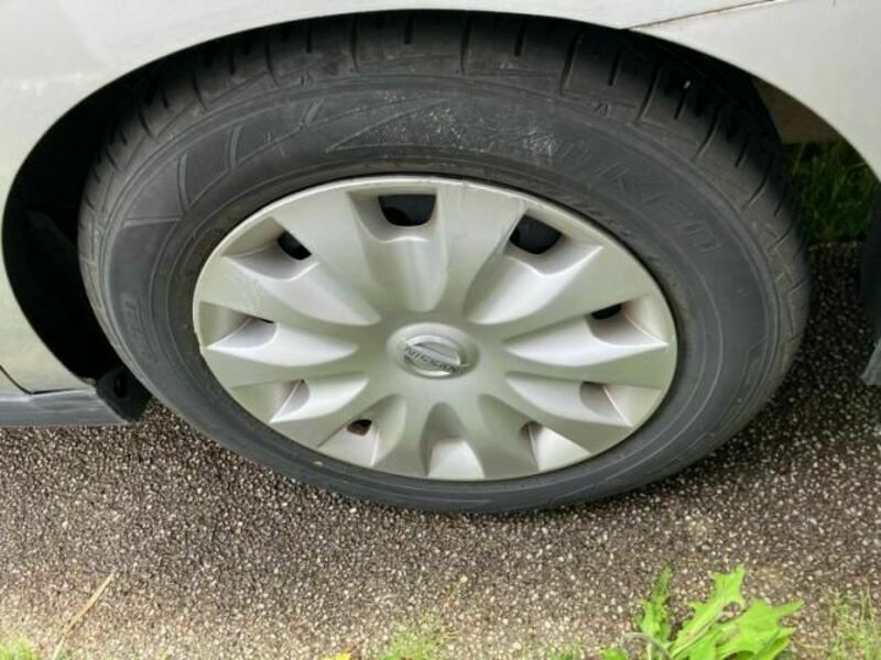 BLUEBIRD SYLPHY