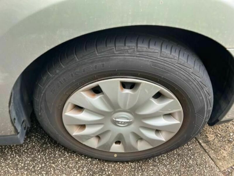 BLUEBIRD SYLPHY