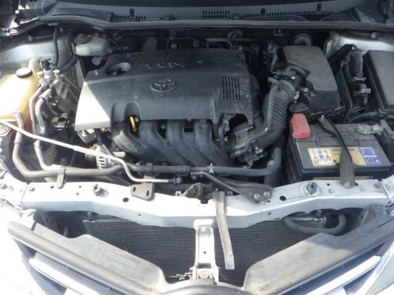 AURIS