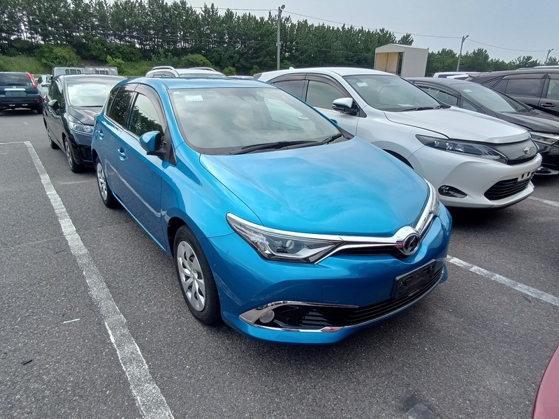 AURIS