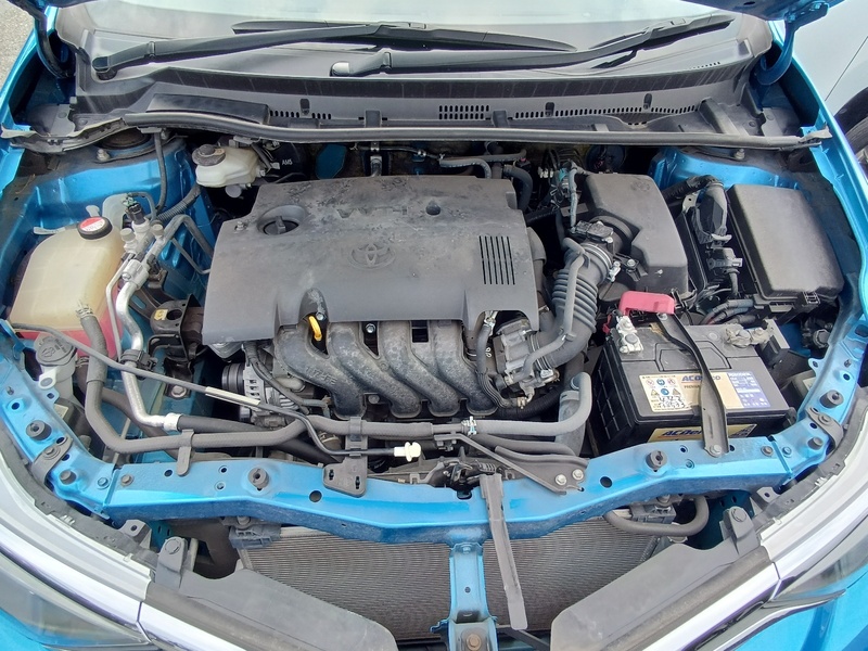 AURIS
