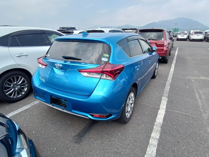 AURIS