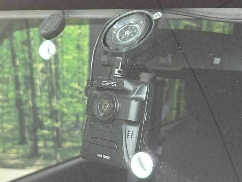 DAYZ ROOX