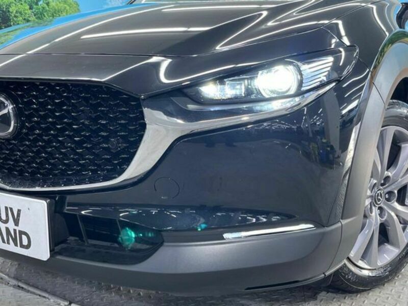 CX-30