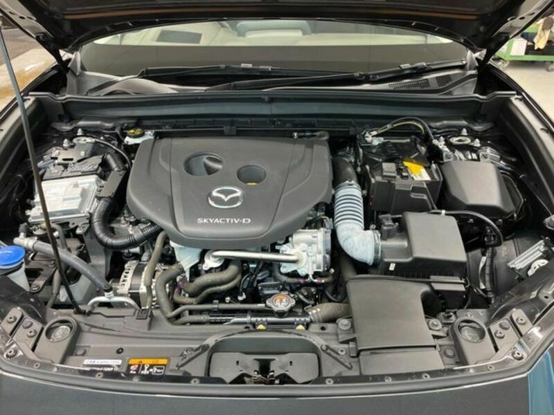 CX-30