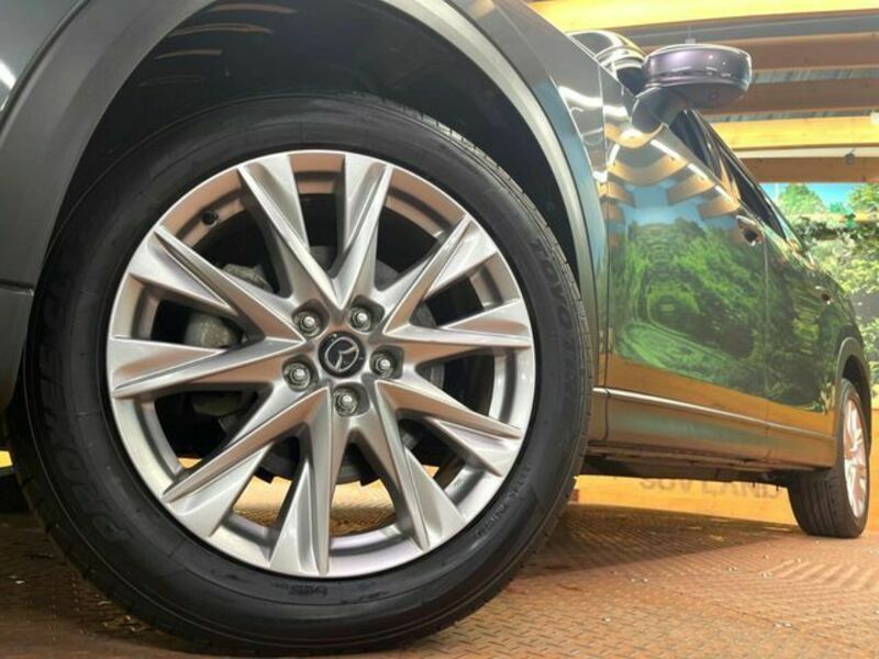 CX-8