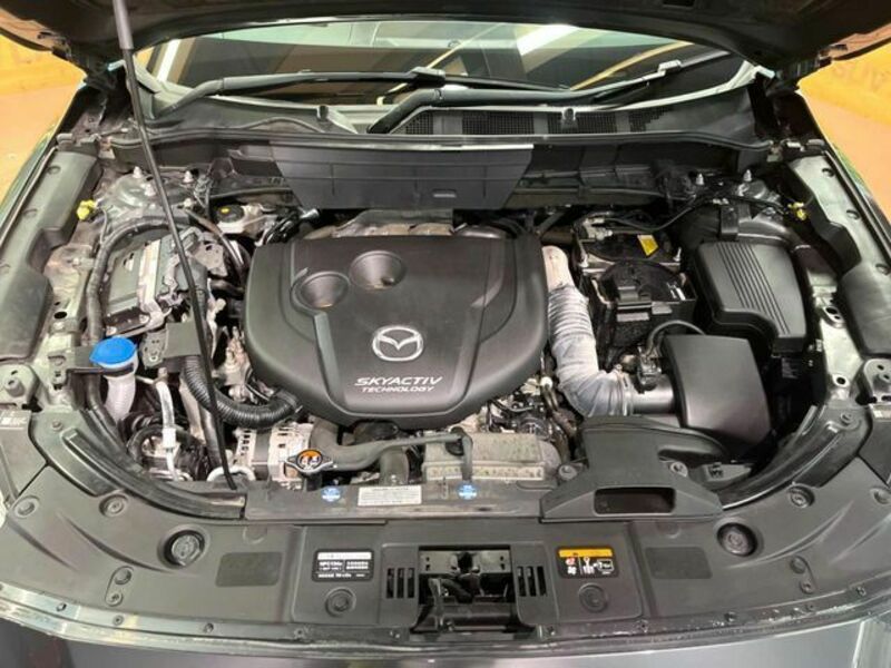 CX-8