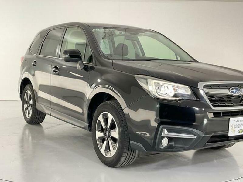 FORESTER