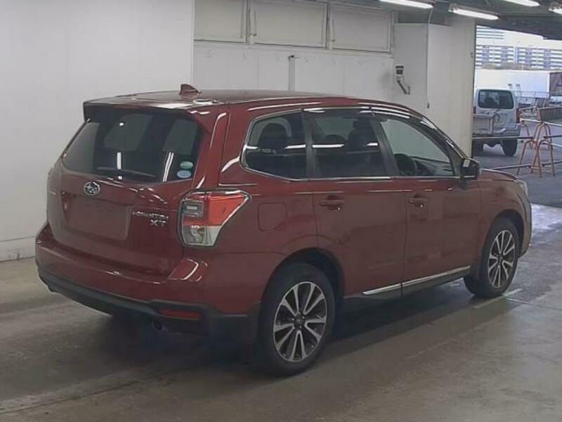 FORESTER