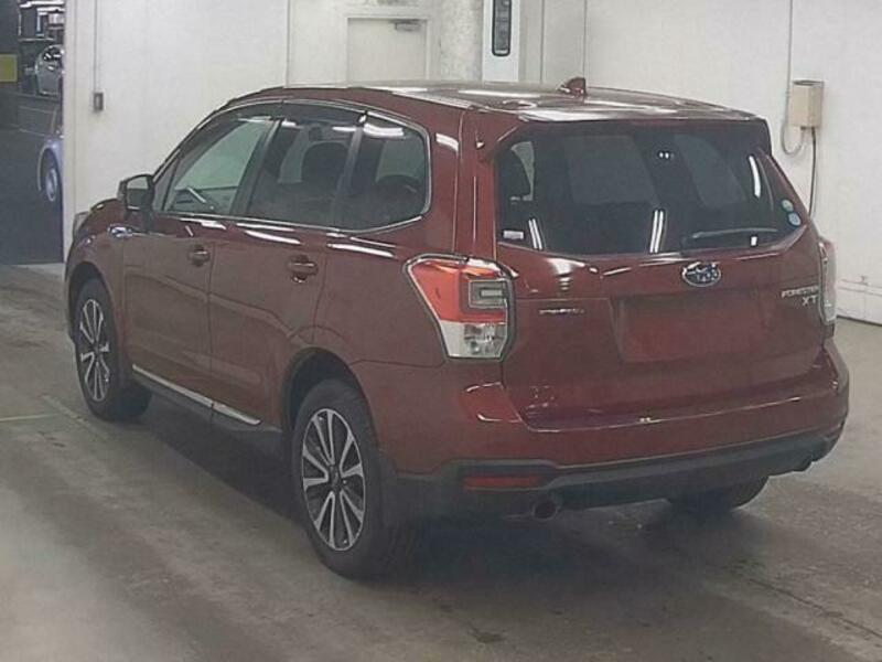 FORESTER