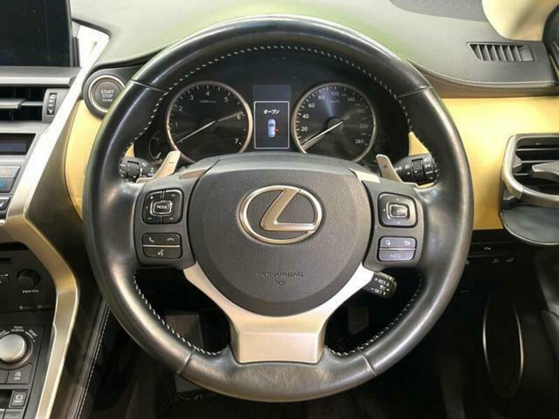 NX