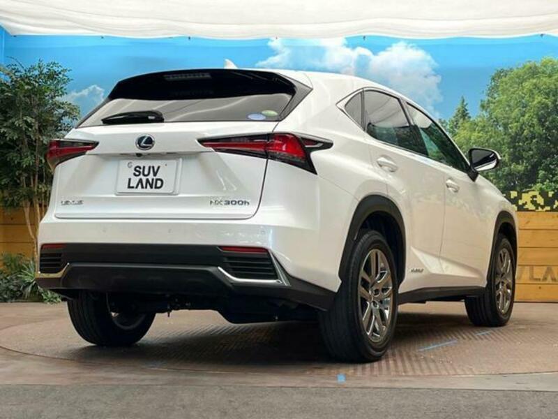NX