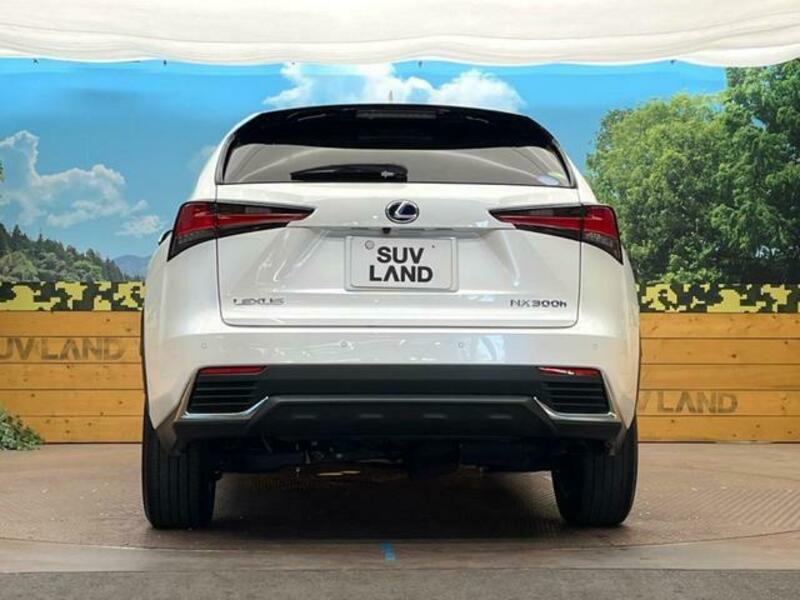 NX