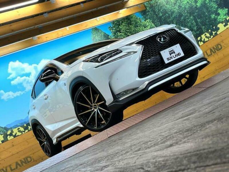NX