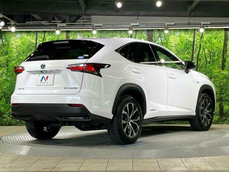 NX