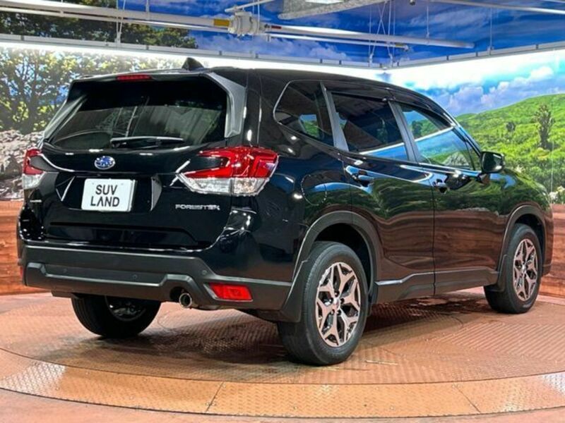 FORESTER