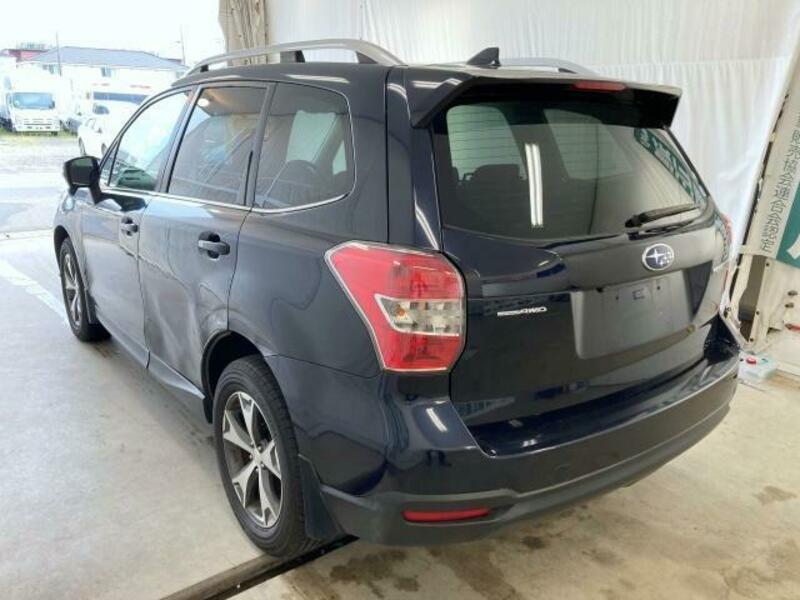 FORESTER