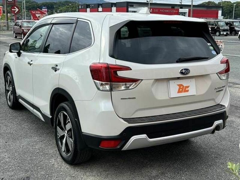 FORESTER