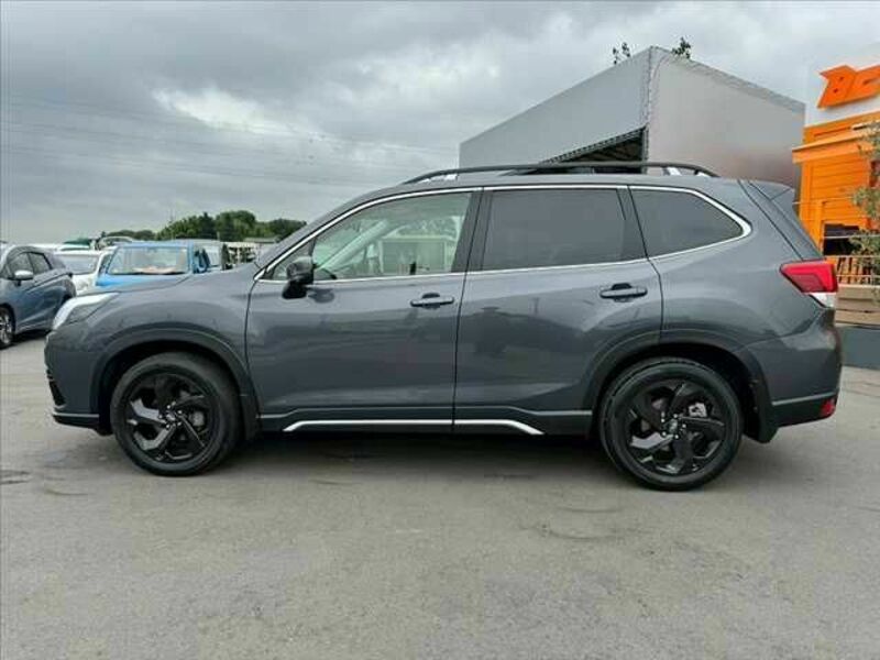 FORESTER