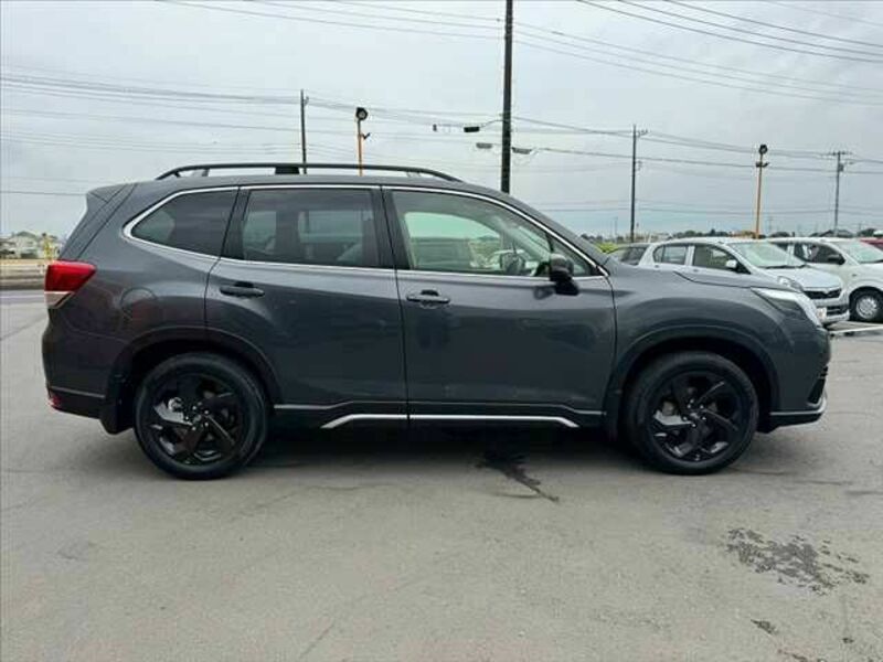 FORESTER