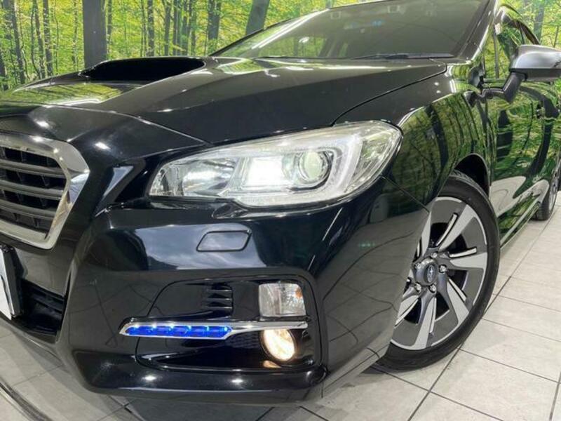 LEVORG