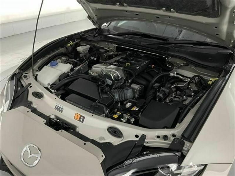 ROADSTER RF