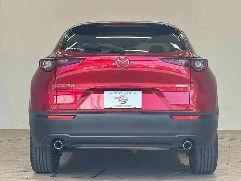 CX-30