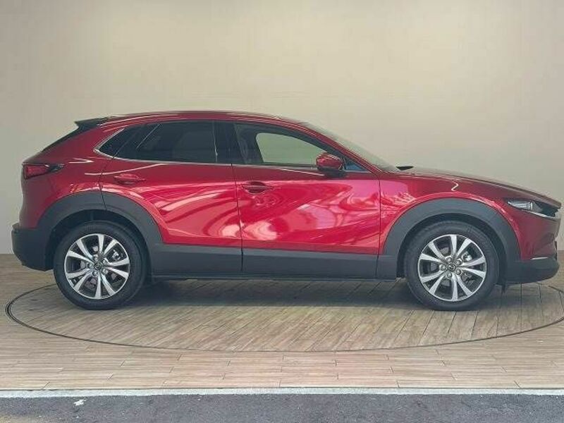 CX-30