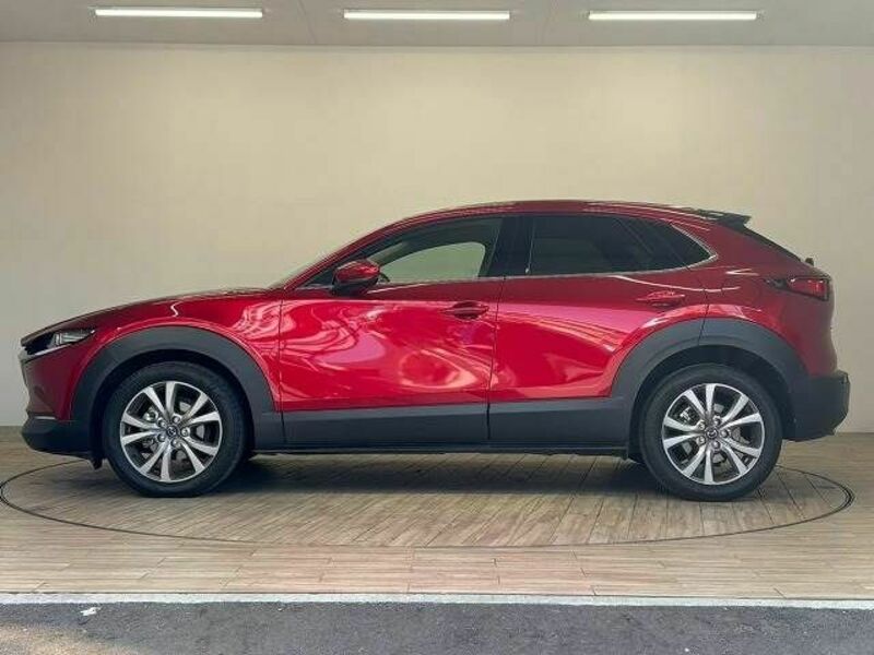 CX-30
