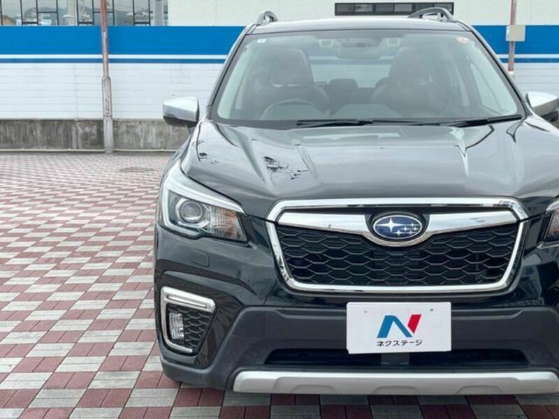 FORESTER