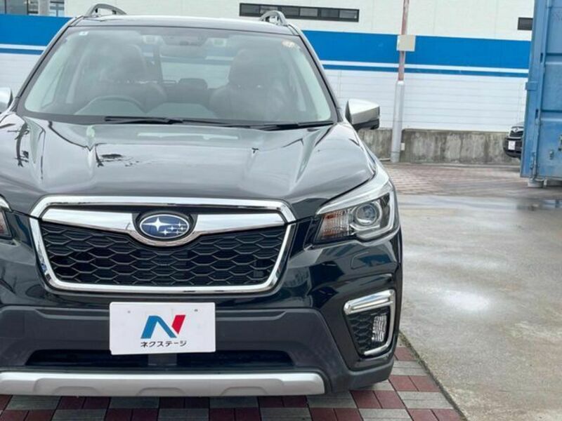 FORESTER