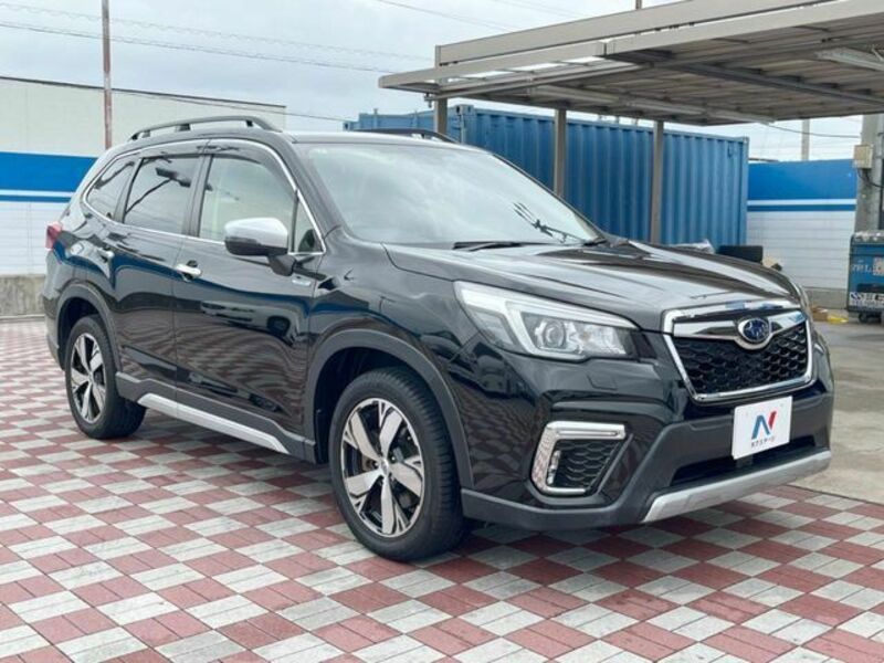 FORESTER