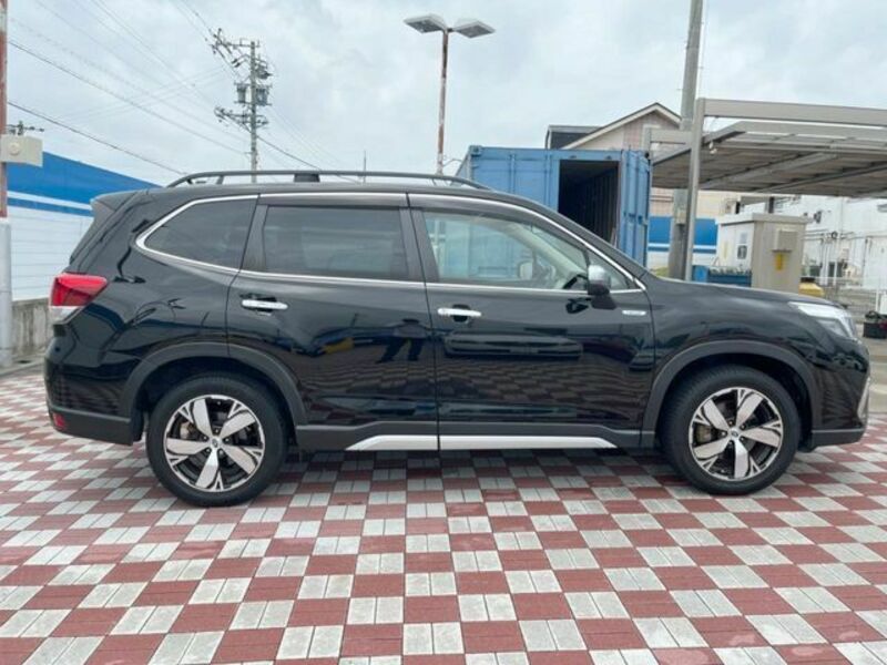 FORESTER