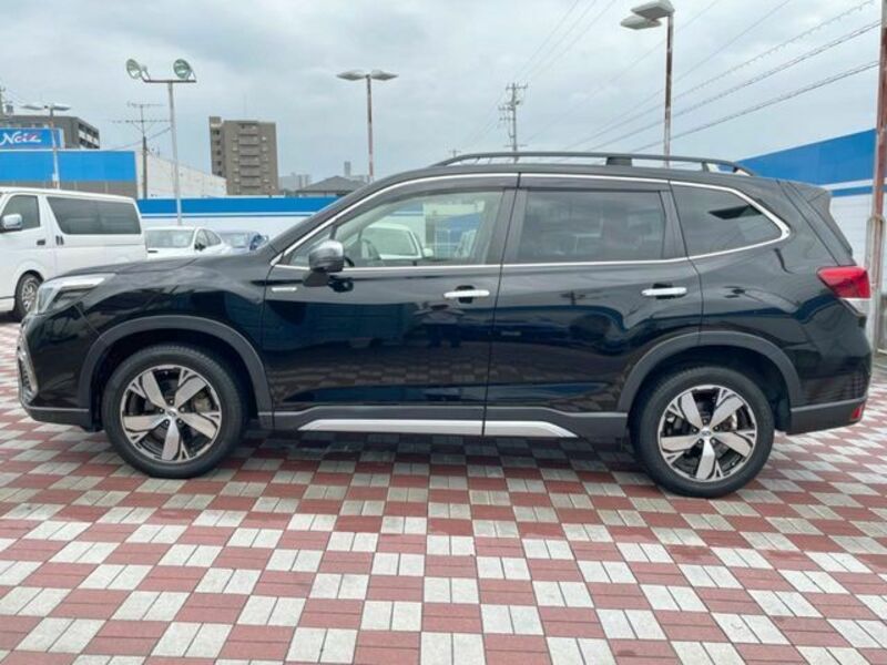 FORESTER