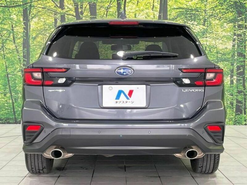 LEVORG