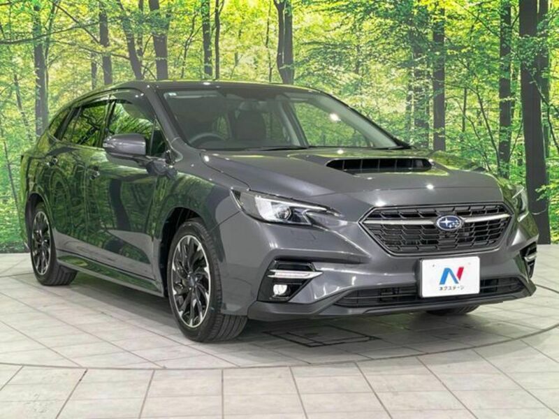 LEVORG