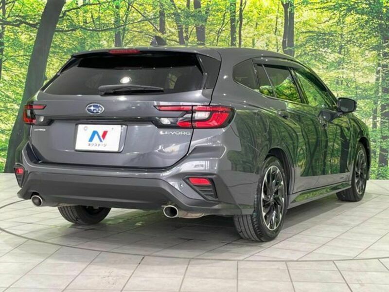 LEVORG