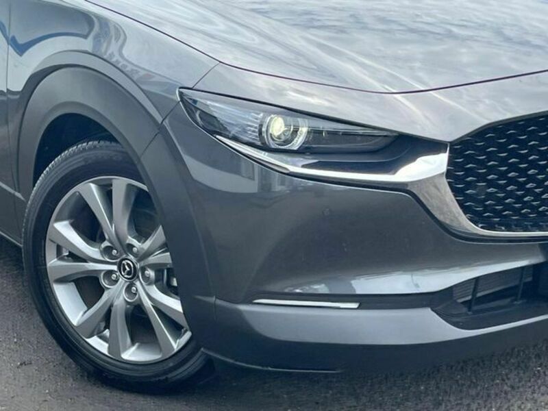 CX-30