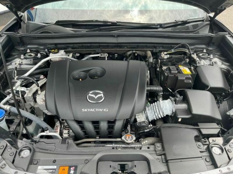 CX-30