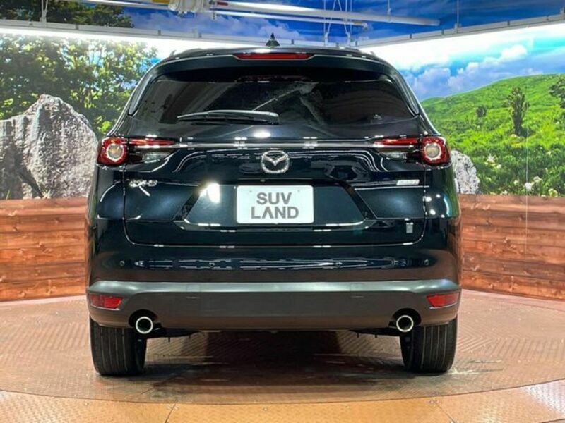 CX-8
