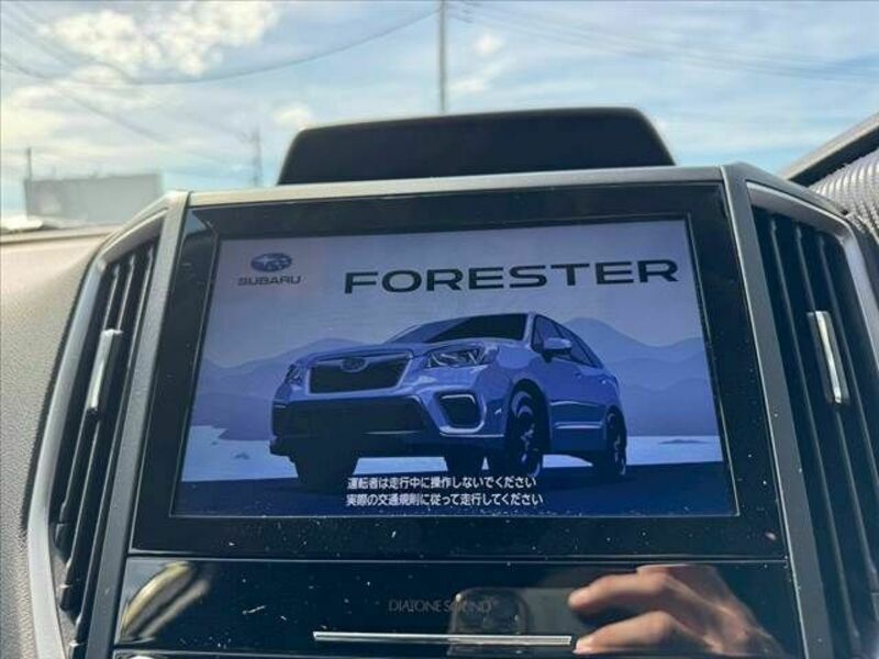 FORESTER