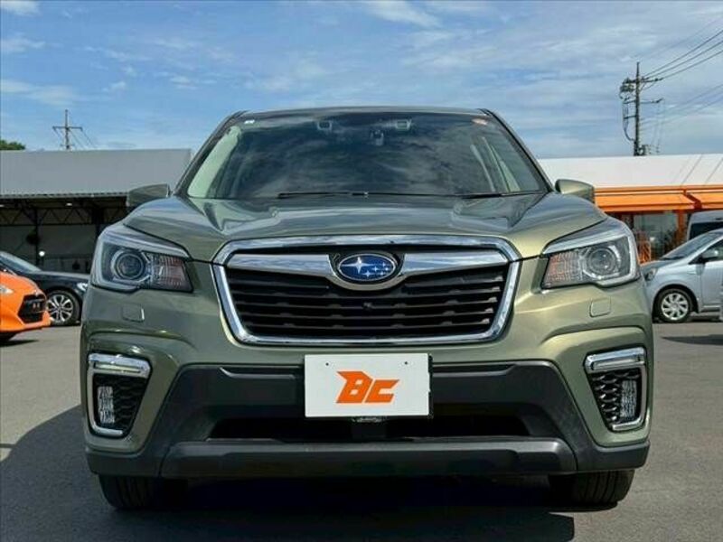 FORESTER